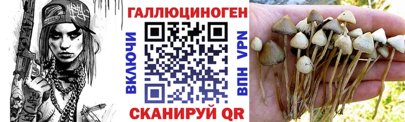 продажа наркотиков  мега   Псилоцибиновые грибы ЛСД  Усть-Джегута 